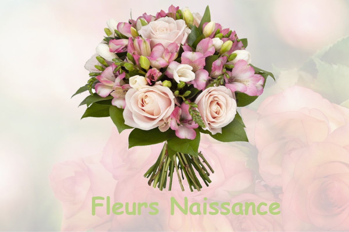 fleurs naissance DOLOMIEU