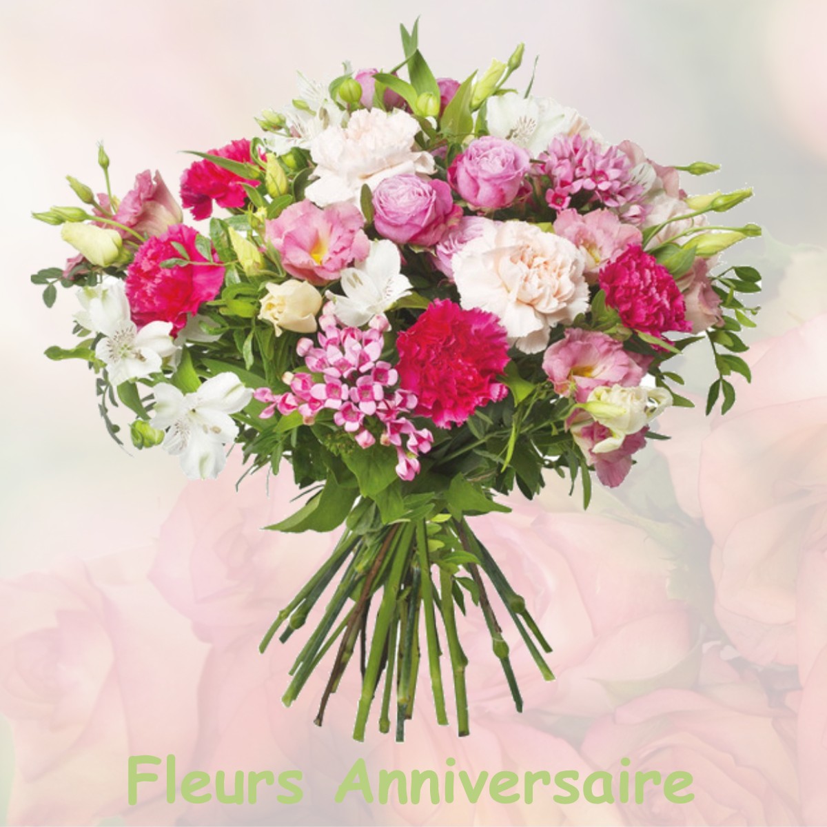 fleurs anniversaire DOLOMIEU