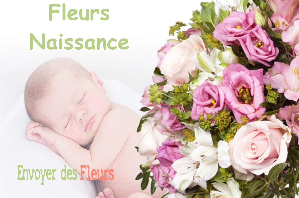 lIVRAISON FLEURS NAISSANCE à DOLOMIEU